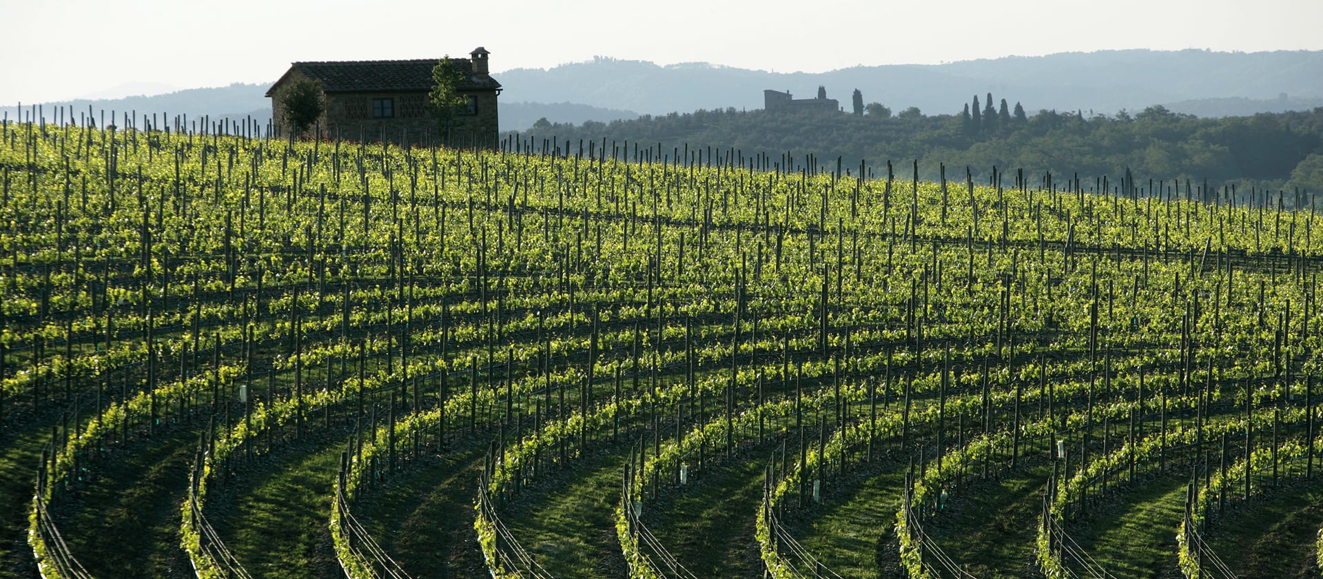 Schön Altern. Neue Weinarchitekturen in Italien